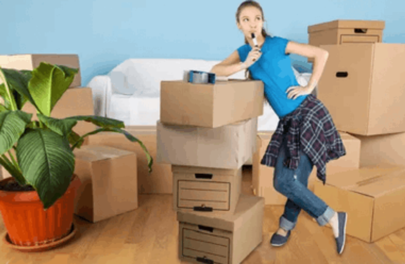 user-upload/business/work-media/3756wk40rho4jxyg0s9543_transporte-gilbert.png